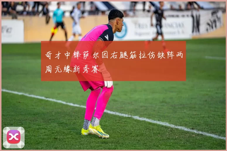 奇才中锋萨尔因右腿筋拉伤缺阵两周无缘新秀赛