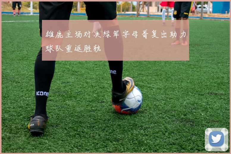 雄鹿主场对决绿军字母哥复出助力球队重返胜轨