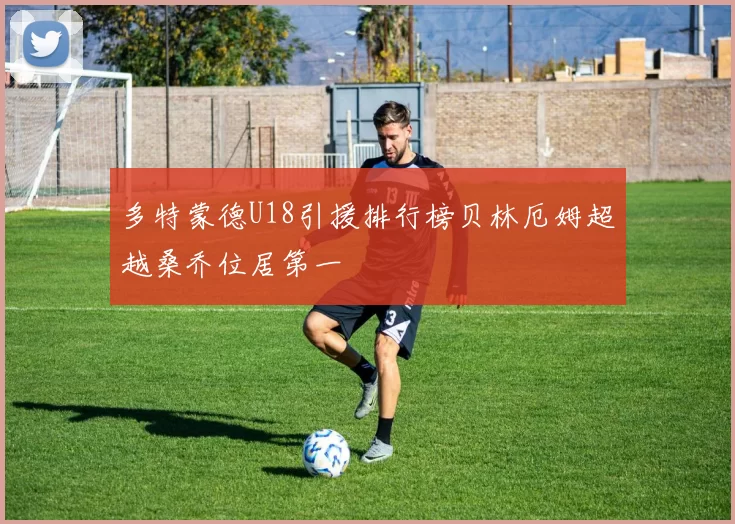 多特蒙德U18引援排行榜贝林厄姆超越桑乔位居第一