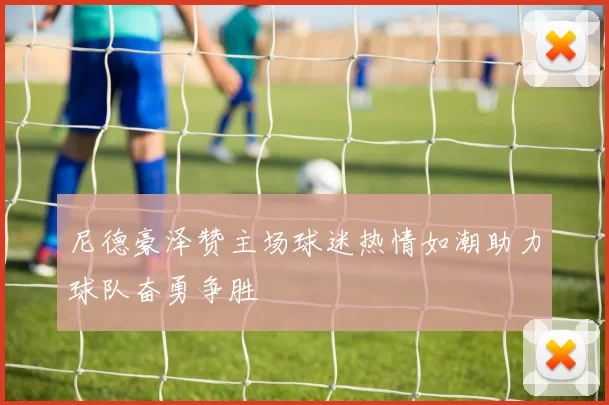 尼德豪泽赞主场球迷热情如潮助力球队奋勇争胜