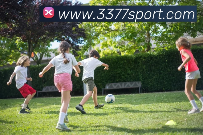 3377体育品牌故事